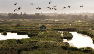 Ilperveld 2023 / Hans van Weel