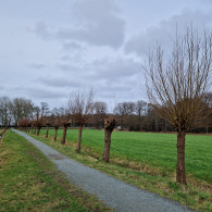 Knotgroep Muiderberg