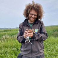 Jerry Lust met een geringde grutto voor onderzoek