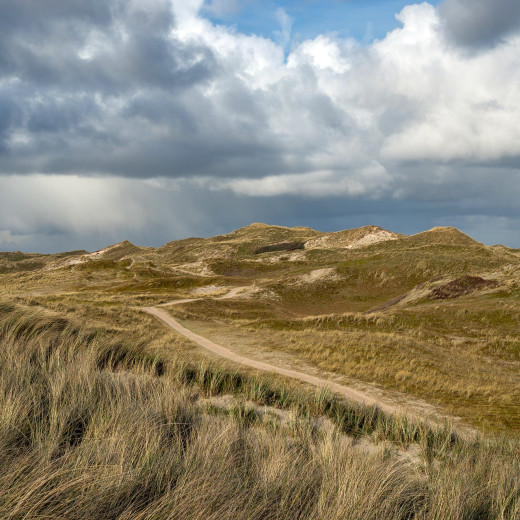 Donkere Duinen