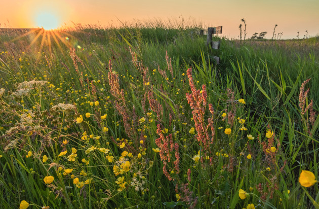 Eilandpolder met zon 