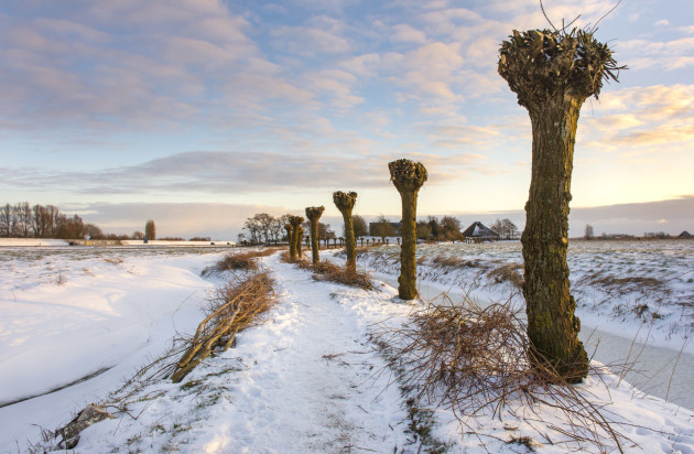 Winter in Avendorp / Margreet Frowijn