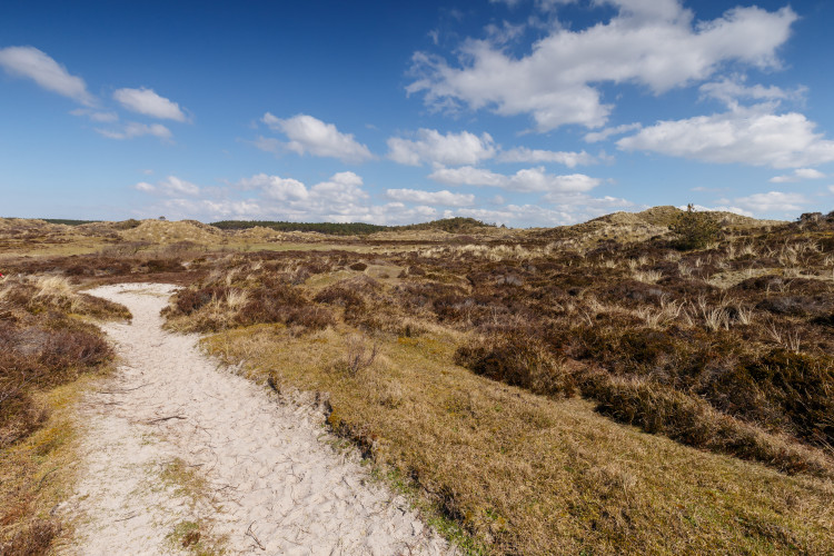 Noordduinen