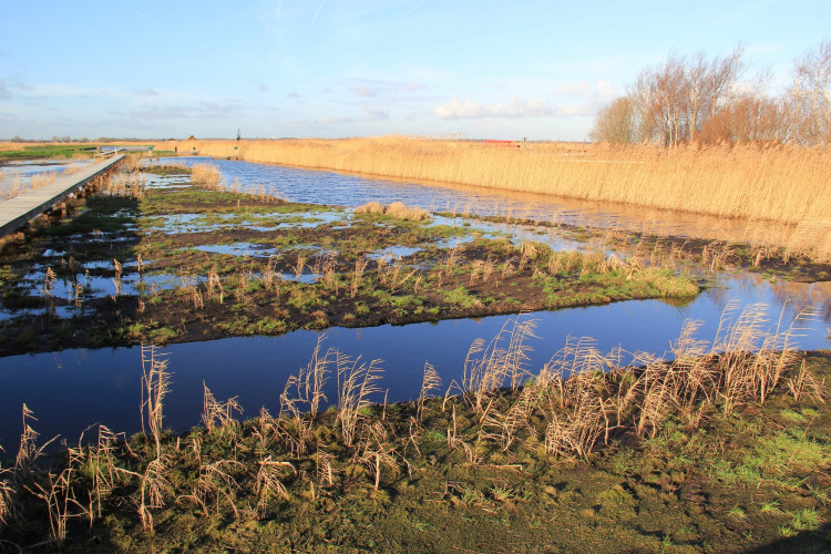 Ilperveld Landschap / Klaas Ros