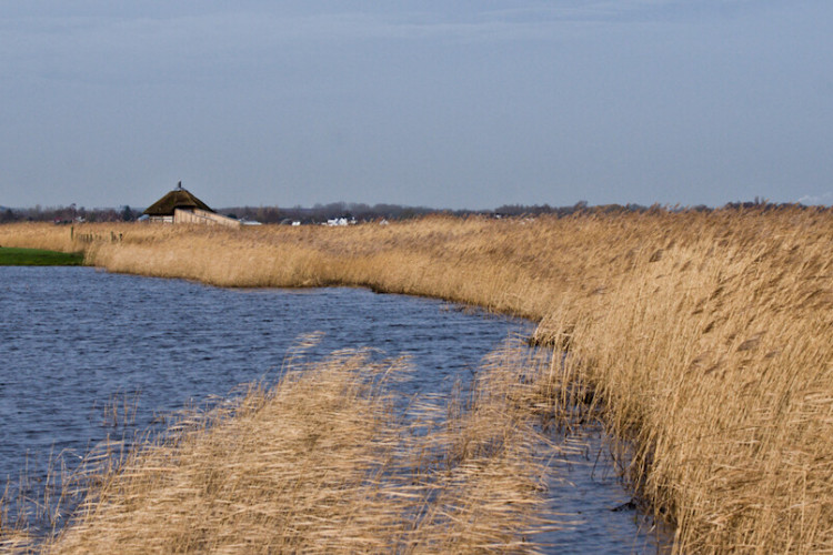 Hans van Groen