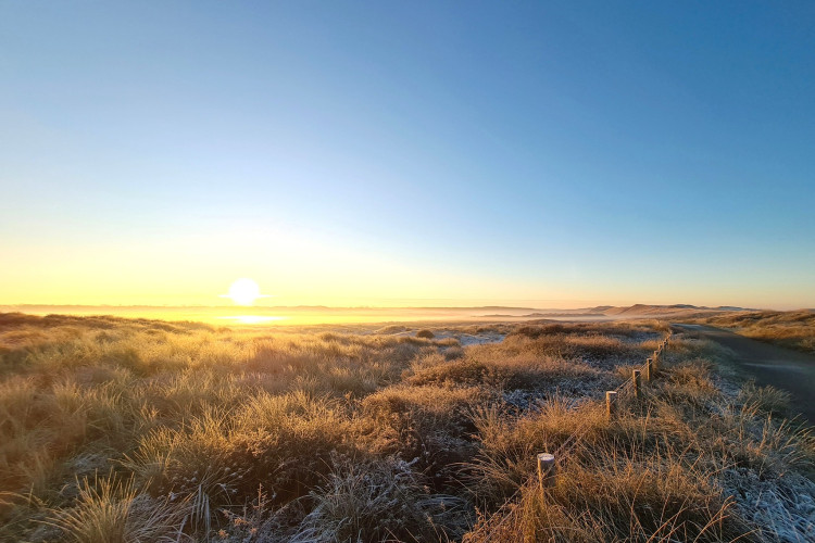 Grafelijkheidsduinen / Walter Das