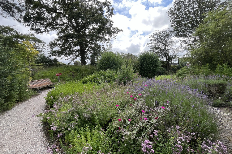 Vlindertuin / Koen Willemsen