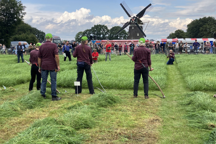 NK maaien met de zeis in Elspeet