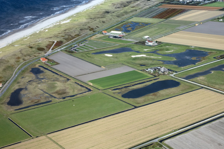 Zandpolder bij Callantsoog