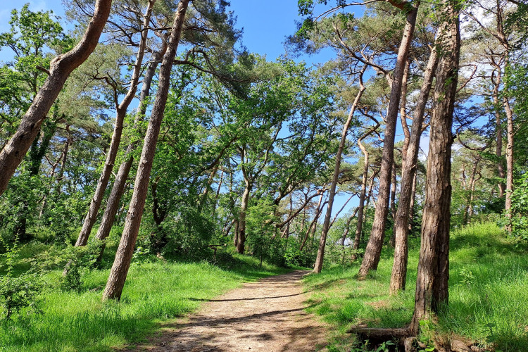 Naaldenveld