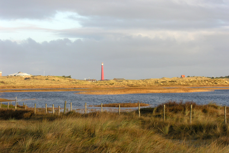 winter in de Grafelijkheidsduinen