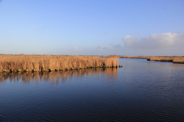 Winter op het water in het Ilperveld