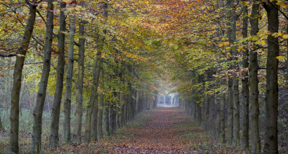 herfstwandeling