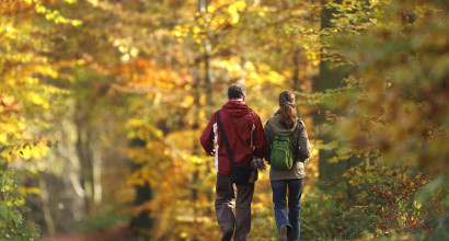 Activiteiten wandelen herfst