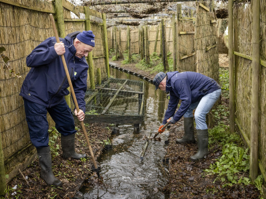 Vrijwilligers aan het werk in Eendenkooi Van der Eng