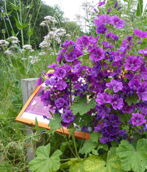 Vrijwilligersgroep Natuur je beste Buur