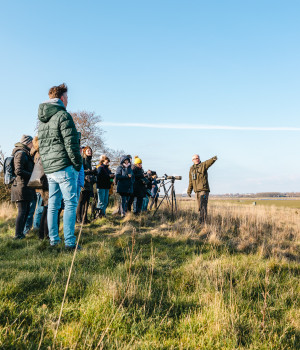 vogelkijkochtend