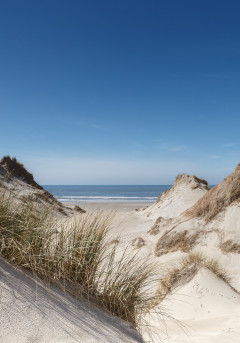 Noordduinen / Menno Schaefer