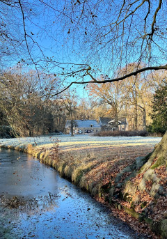 Winter op Leyduin