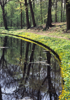 Lentebeek op Leyduin