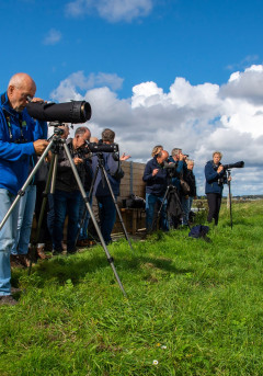 Excursie Balgzand 