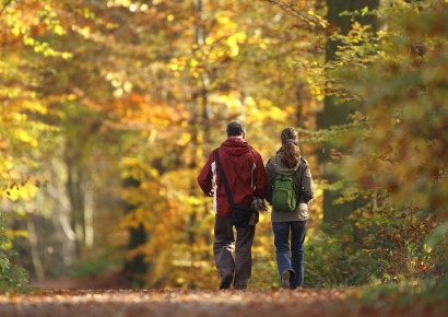 Activiteiten wandelen herfst