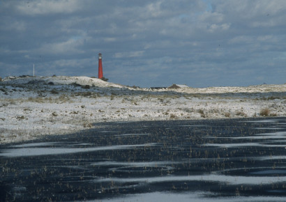 Huisduinen