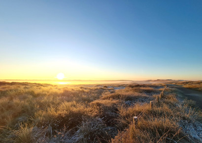 Grafelijkheidsduinen / Walter Das