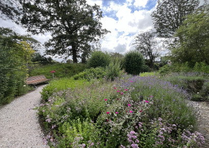 Vlindertuin / Koen Willemsen