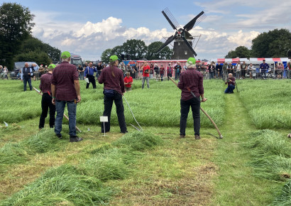 NK maaien met de zeis in Elspeet