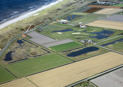 Zandpolder bij Callantsoog