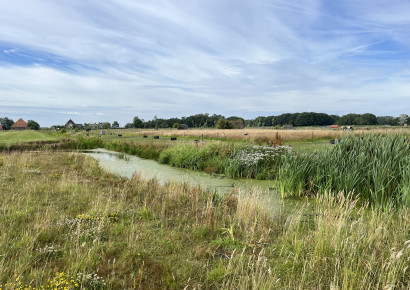 herenboeren duinstreek 