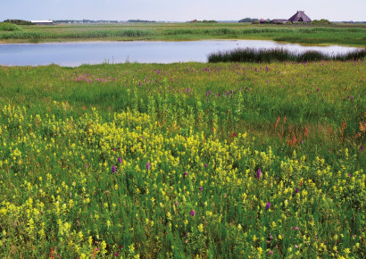 Zandpolder