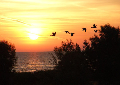 Zonsopkomst IJsselmeer