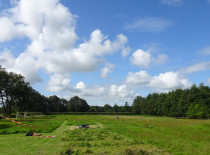 Zeiskampioenschap / Hielke Boorsma 