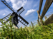 Weidemolen