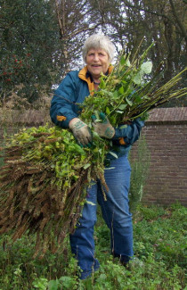 Vrijwilliger bij Abdij van Egmond / Landschap Noord-Holland