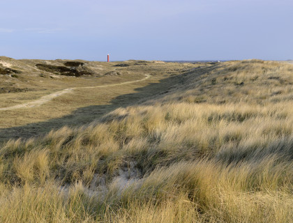 Noordduinen / Ronald van Wijk